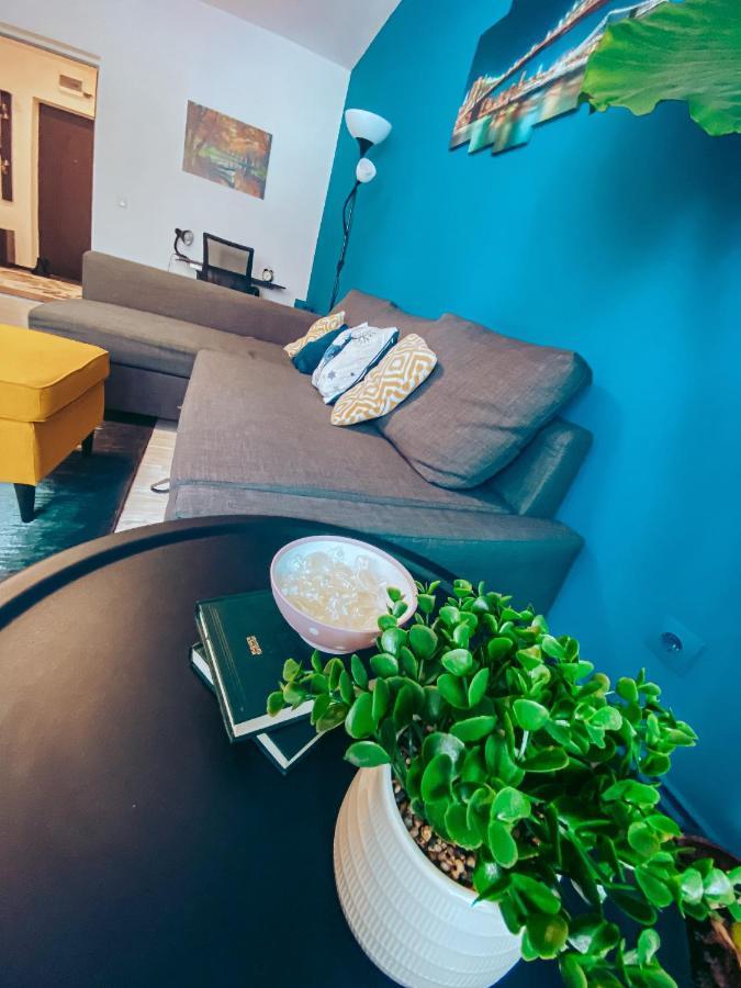 Apartment One 브라쇼브 외부 사진